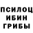Галлюциногенные грибы Psilocybe #FreeChudentsov