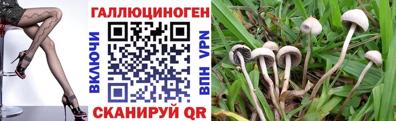 Псилоцибиновые грибы ЛСД  Зерноград 